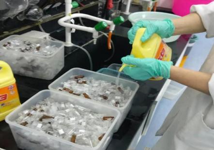 新人進(jìn)實(shí)驗(yàn)室，為什么先刷瓶子？